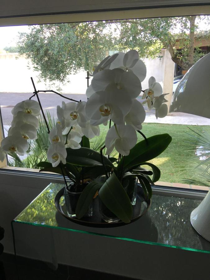 La Villa Méditerranée Wellness Spa Piscine Saint-Drezery Esterno foto